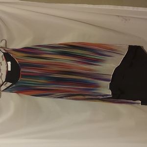 This beautiful Bisou Bisou dress was only worn twice. Good  condition